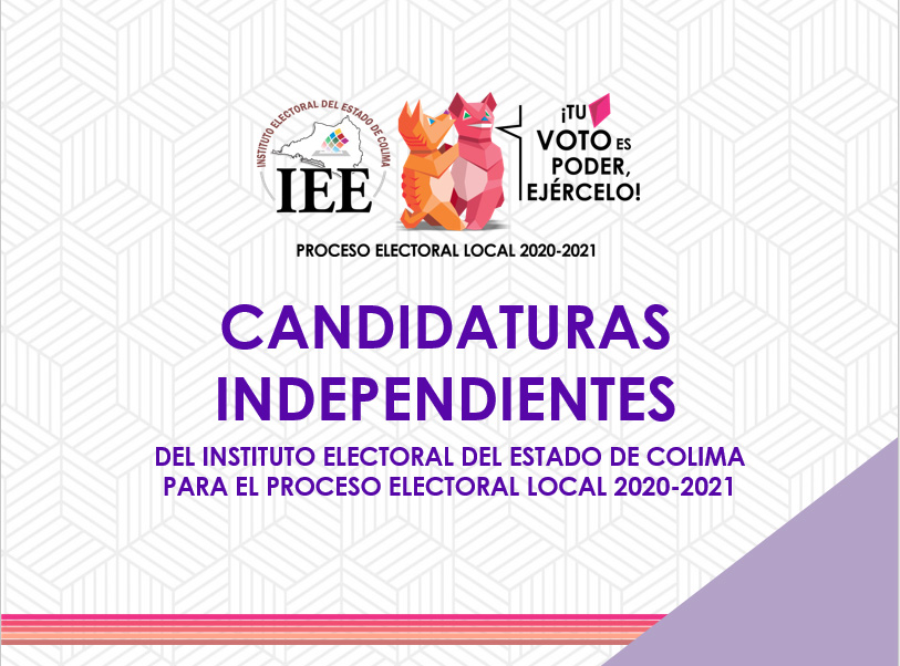 Archivo del Curso para candidaturas independientes