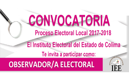 Participa como Observador Electoral 2015
